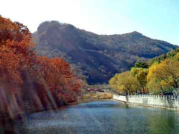 管家婆免费正版资起大全，毛岸青 精神病